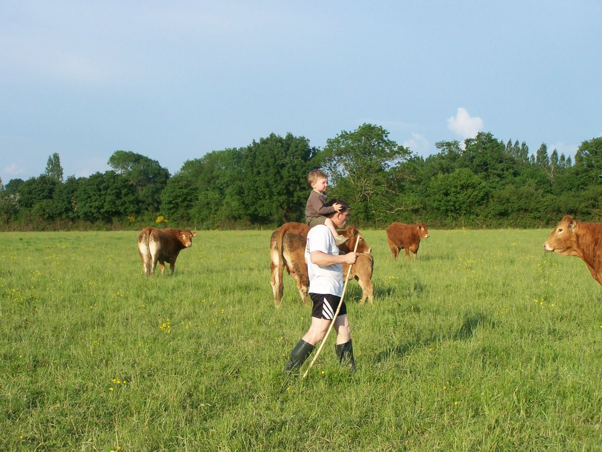 Tour_des_vaches_avec_Simon_1_an__demi